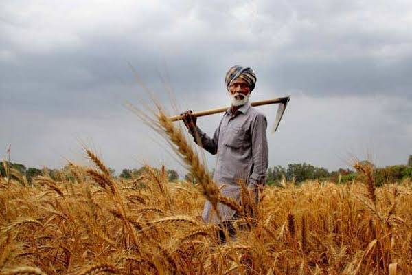 Andhra disburses Rs 1,252 crore crop insurance claims