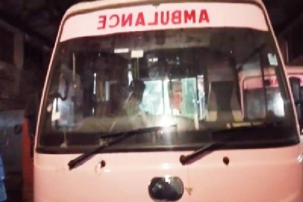 2 covid patients die as Telangana Police turn back Andhra ambulances