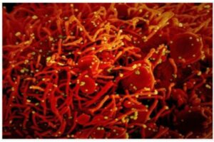 Corona second wave taking a toll on Tollywood