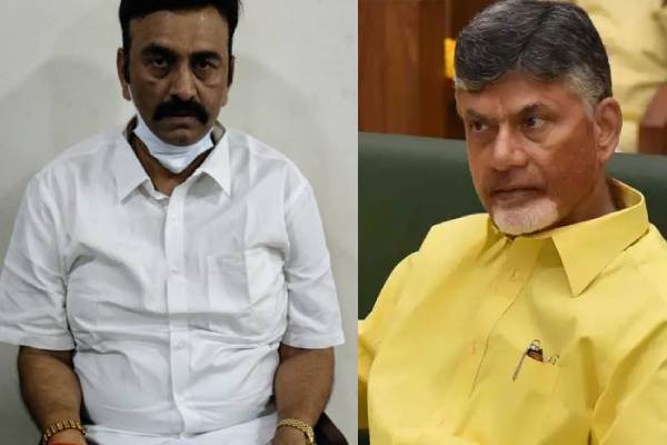 Naidu will meet same fate as Raju, threatens YCP