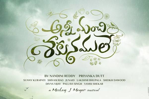 Nandini Reddy’s next film Announced