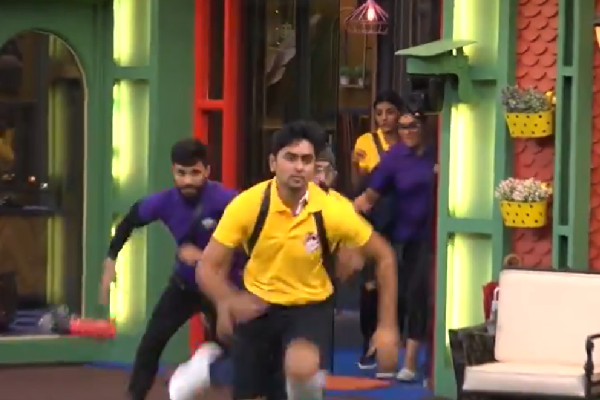 Bigg Boss 5: Eagles vs Wolves