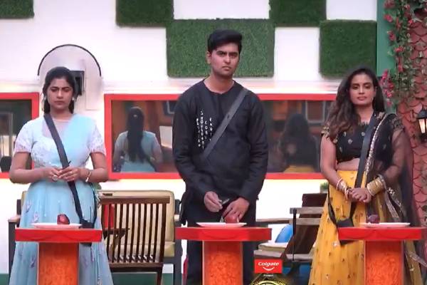 Bigg boss 5: Sarayu eliminated despite huge following in social media