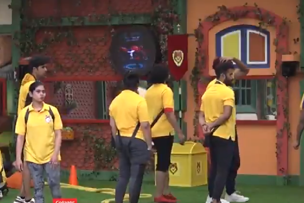 Bigg boss 5 Episode full of tasks