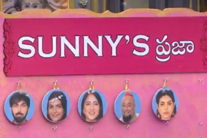 Bigg Boss 5: Action episode