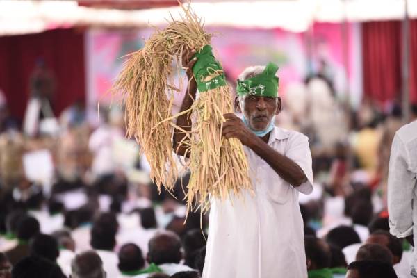 Politics over paddy procurement add to Telangana farmers’ dilemma