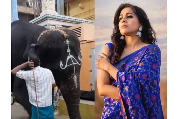 Actress Rashmi Gautam urges people to say no to animal rides, captivity