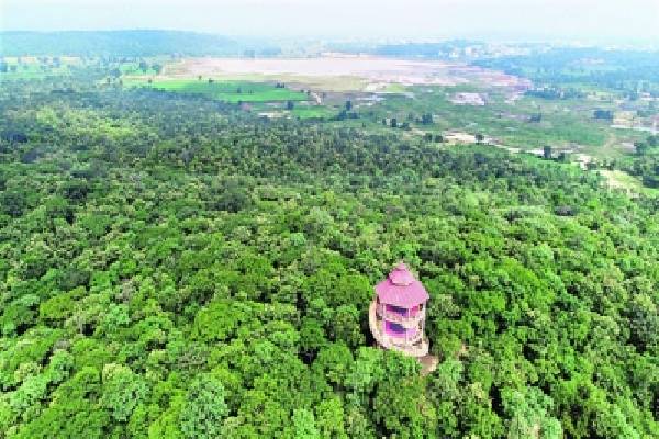 Hyderabad gets ‘Tree City of the World tag’ for second year