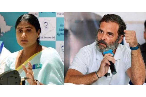 Sharmila urges Rahul to speak up on corruption in Kaleshwaram project