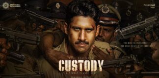 Custody Movie