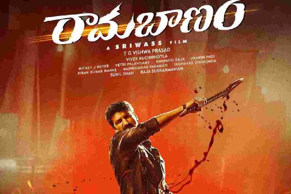 Rama Banam: Over budget for Gopichand’s Film