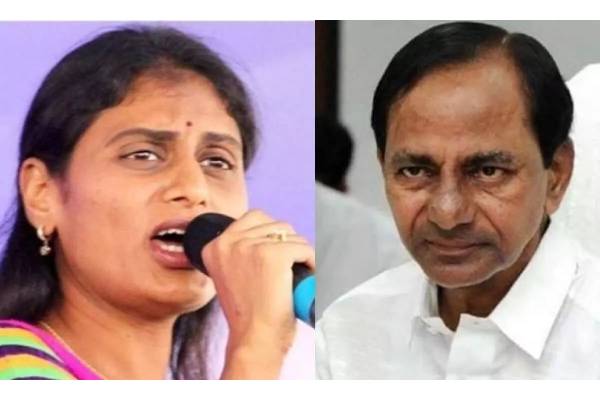 Sharmila asks KCR to name corrupt MLAs