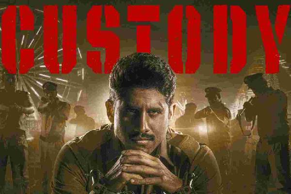 Custody Review: Patience Testing Action Film