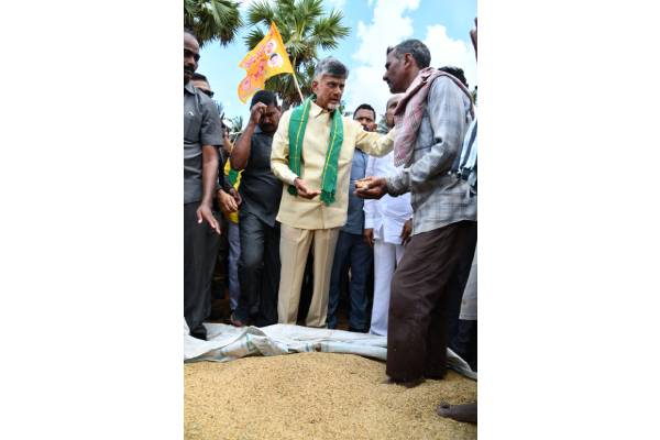 Chandrababu demands Jagan’s response on compensation to rain-hit farmers
