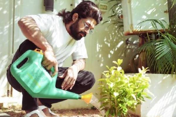 Allu Arjun’s message on World Environment Day: ‘Let’s do our small bit’