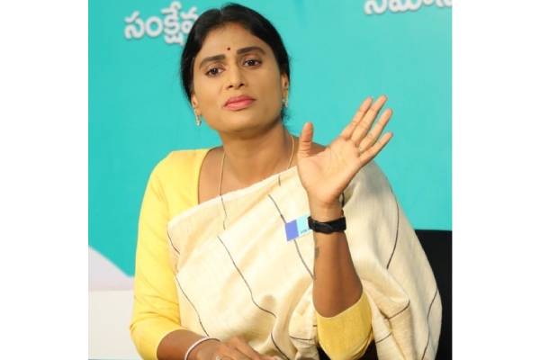 Sharmila denies reports of Andhra Congress chief appointment