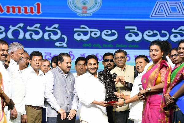 Jagan lays foundation for revival of Chittoor Dairy