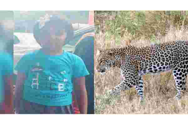 TTD restricts movement of pilgrims as leopard movements increase