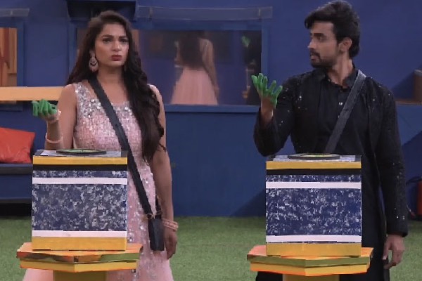 Bigg Boss 7 Telugu: Friendship Bonds, Fun Tasks, and a Surprise Twist