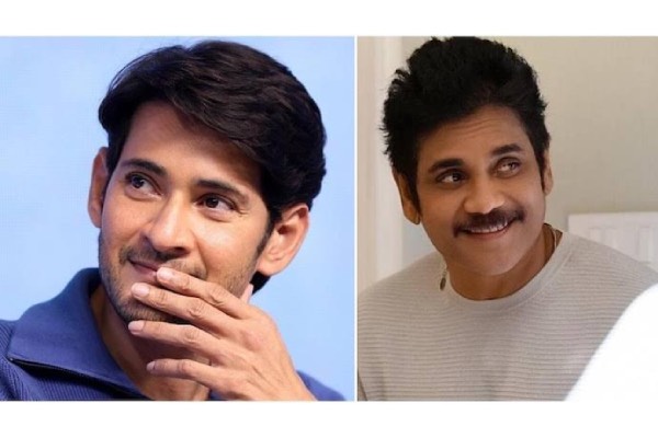 Mahesh Babu and Nagarjuna working without Breaks