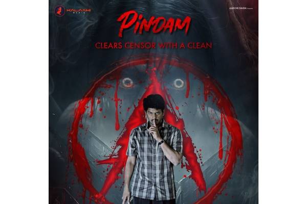 Pindam strictly for adults, makers caution pregnant women to not watch it