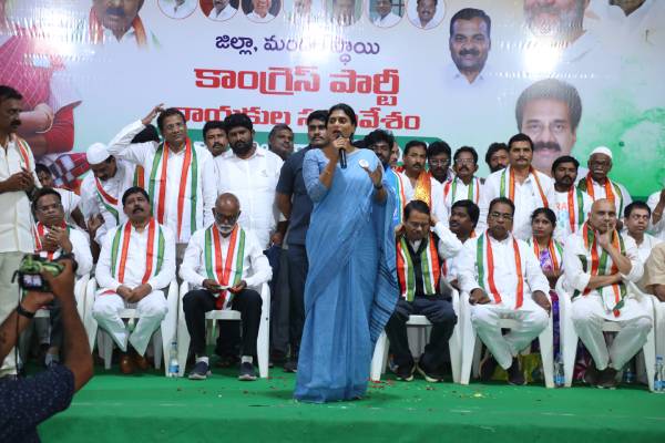 YV, Sai Reddy, Ramakrishna Reddy is YSR, not late leader, says Sharmila