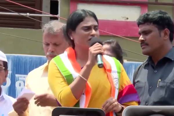 Why Jagan is silent on Viveka murder, Sharmila asks