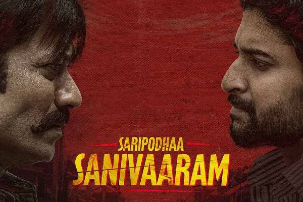 saripodhaa sanivaaram (3)