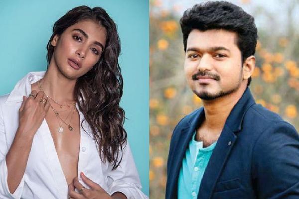 Vijay Pooja Hegde