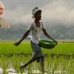 PM Kisan