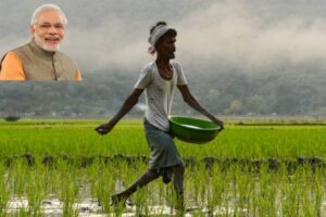 Annadata Sukhibhava and PM Kisan bring cheers to farmers