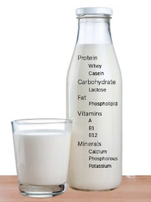 Milk health benefits nutrition facts telugu360