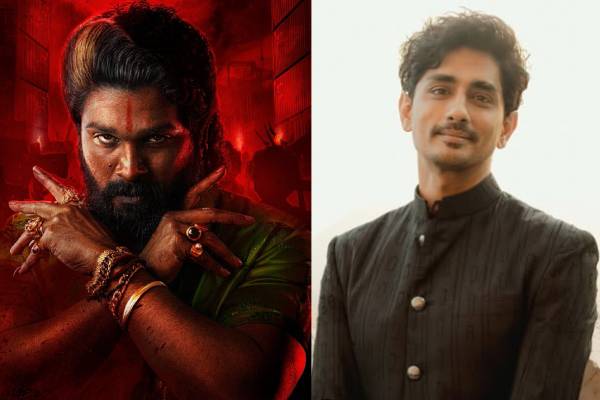 siddharth comments on pushpa2
