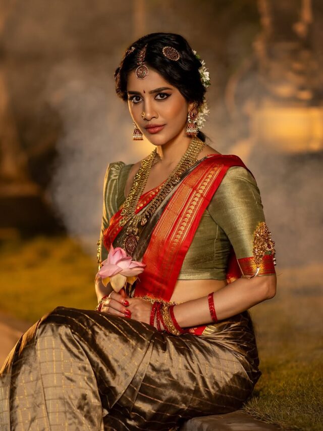 Nabha Natesh (1)