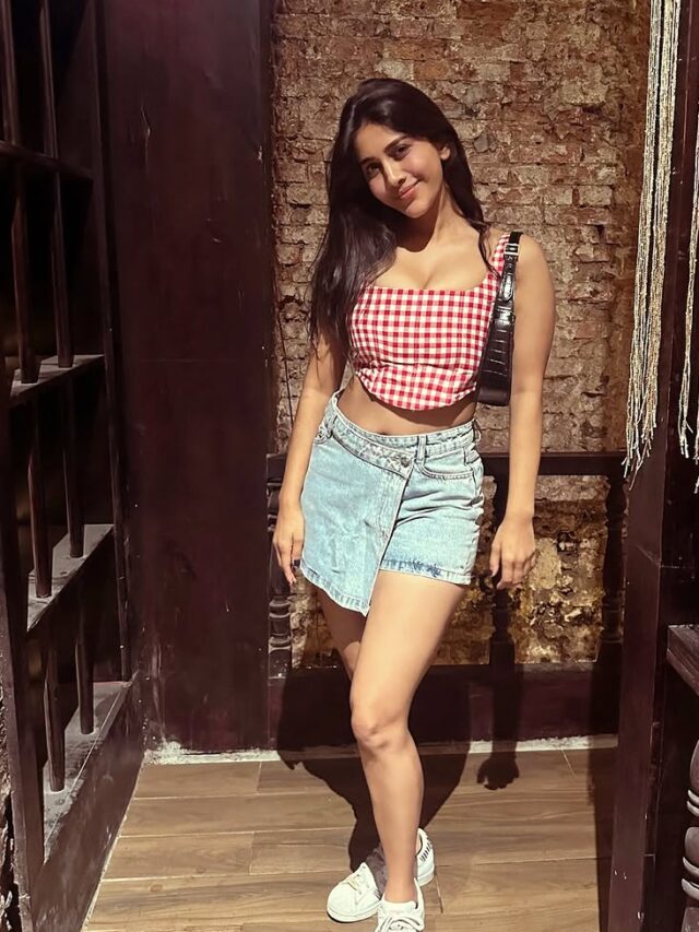 Nabha Natesh (1)