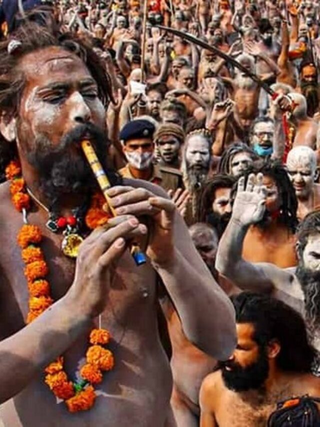 Kumb Mela7
