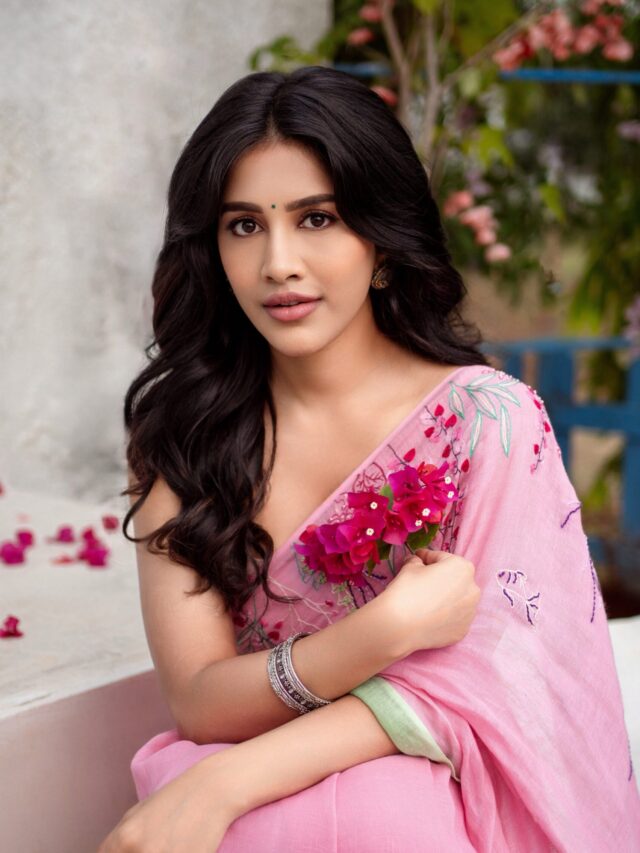 Nabha Natesh (1)