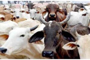 YSRCP’s Malicious Campaign Against TTD