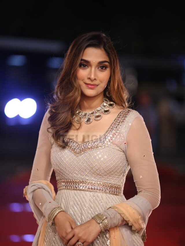 cropped-Arjun-son-of-vyjayanthi-pre-release-event_17.jpg