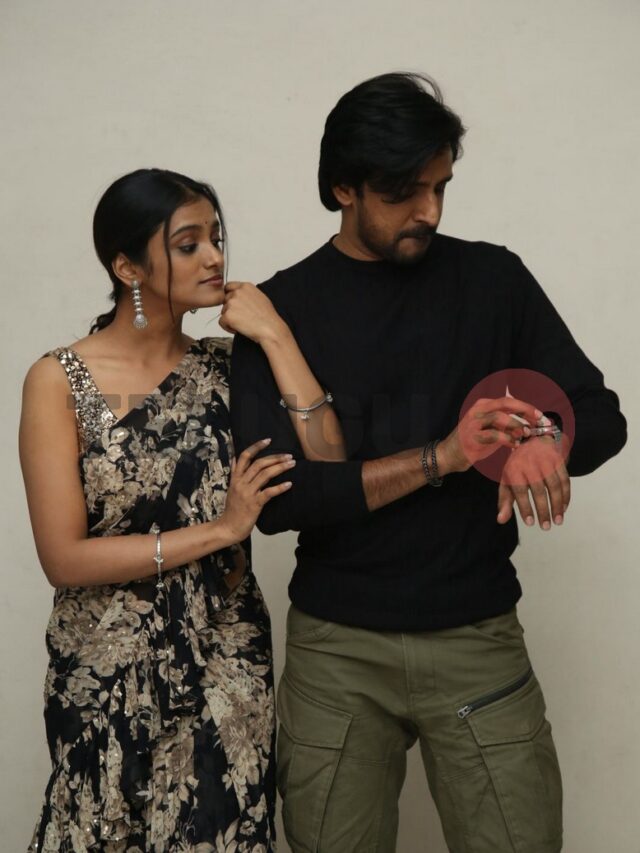 Sarangapani Jathakam Pressmeet6