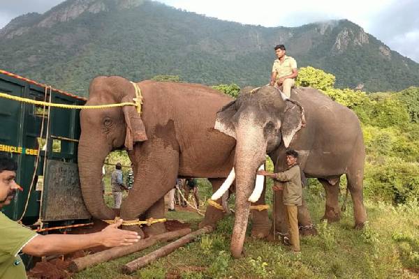 Karnataka hands over Kumki elephants to AP