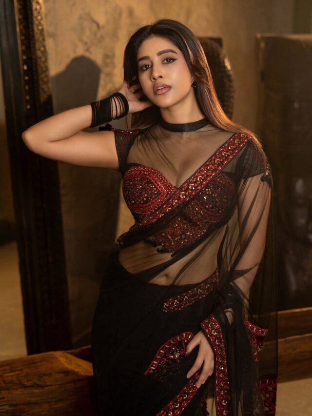 Nabha Natesh Stuns In a Black Saree