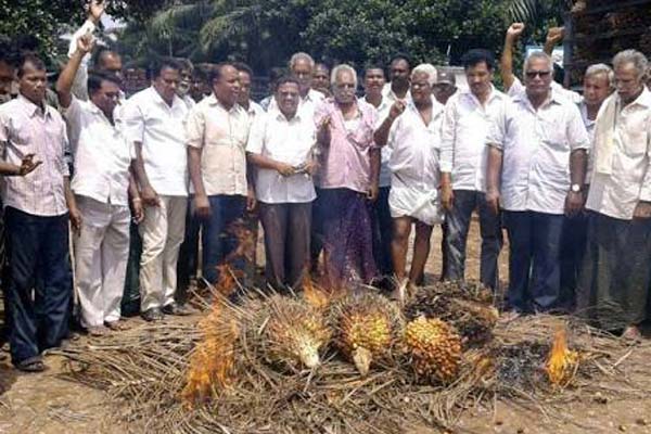 ఆయిల్ పామ్ తోటలకు కేంద్రం విధానాల వేటు