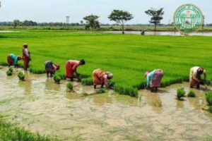 రైతులకు స్వీట్ షాక్ – రైతు భరోసా నిధులు రిలీజ్ !