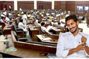 ఎడిటర్స్ కామెంట్స్ :  అప్రజాస్వామిక వింత జీవి!